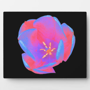 Fluorescent Tulip Plaque Fotoplaat