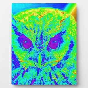 fluorescerende uil fotoplaat