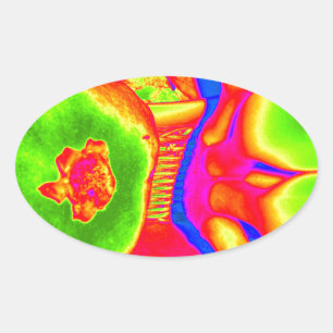 fluorescerende vruchten ovale sticker