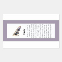 Fluoriet Crystal Betekenis Sieraden Edelsteen Pakk