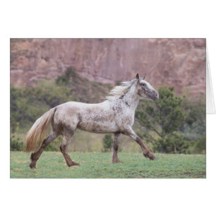 Flurry's Run - La Greting Card de la liberté