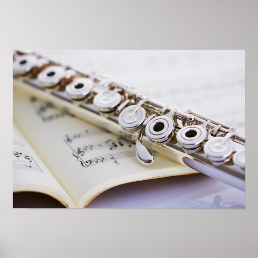 Flute 2 poster (Voorkant)