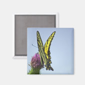Flutter Magneet (Voorkant / Achterkant)