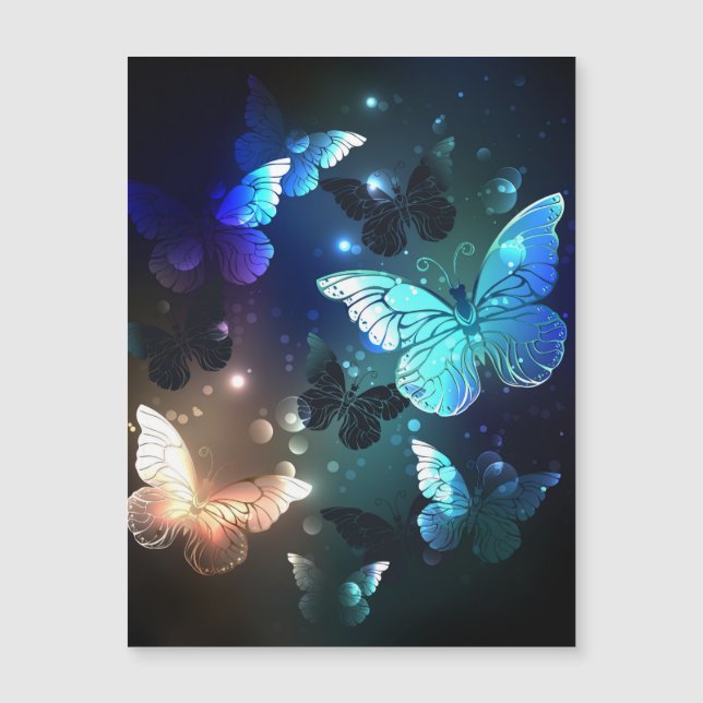 Fluttering Night Butterfly (Voorkant)