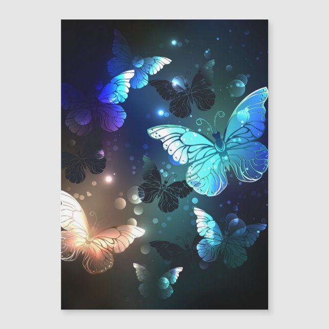 Fluttering Night Butterfly (Voorkant)