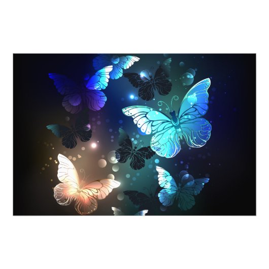 Fluttering Night Butterfly Foto Afdruk (Voorkant)