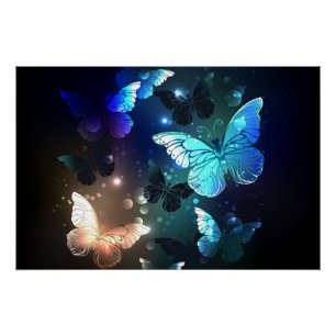 Fluttering Night Butterfly Perfect Poster