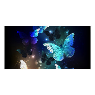 Fluttering Night Butterfly Perfect Poster