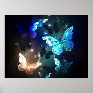Fluttering Night Butterfly Poster