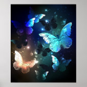 Fluttering Night Butterfly Poster (Voorkant)
