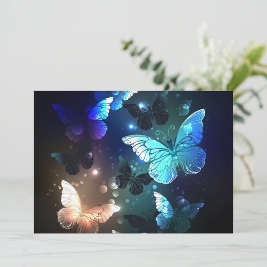 Fluttering Night Butterfly Programma (Staand voorkant)