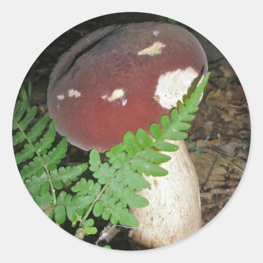Fluweel Mushroom Stickers (Voorkant)
