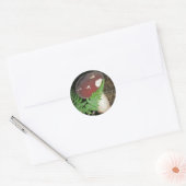 Fluweel Mushroom Stickers (Envelop)
