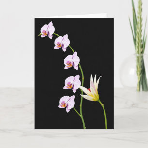 Fluwelen Bloem Kaart