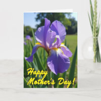 Fluwelen Iris Bloem Patronen Kaart