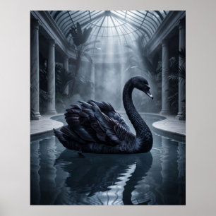 Fluwelen Zwanen Conservatorium Poster