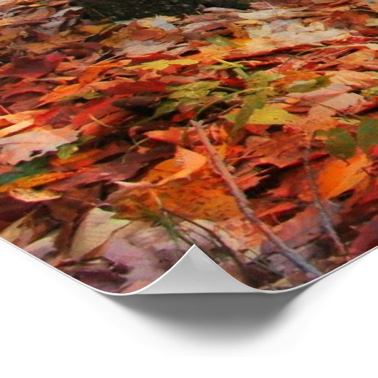 Flux d'automne, affiche (Coin)