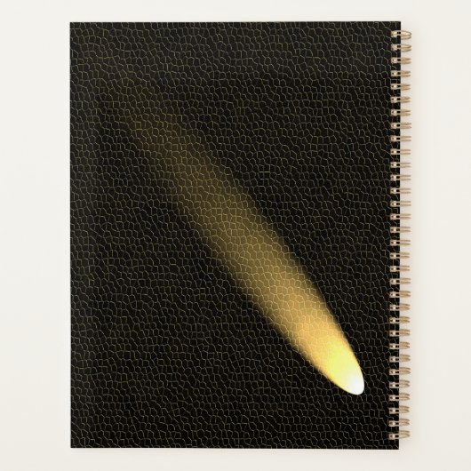 Flux de cuir et de comète noirs modernes (Dos)