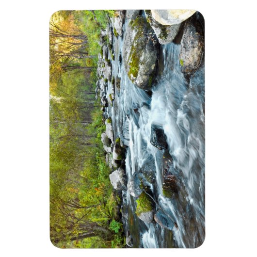 Flux de la crique Flexi Magnet (Vertical)