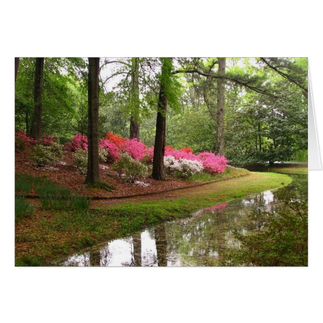 Flux de rappel (Devant horizontal)