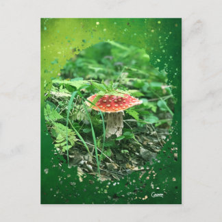 Fly Agaric - Briefkaart