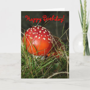"Fly Agaric Mushroom" Verjaardag Kaart