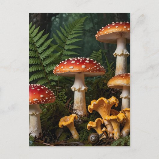 Fly Agaric Mushrooms Forest Botanical Briefkaart (Voorkant)