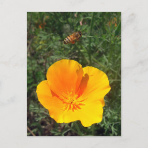 Fly Away Bee Briefkaart
