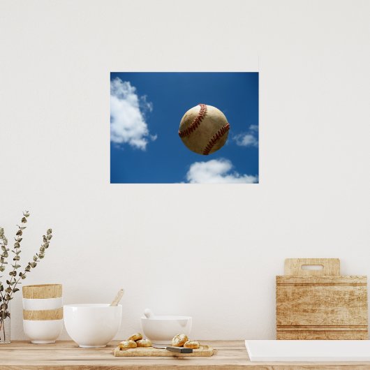 Fly Ball Poster (Keuken)