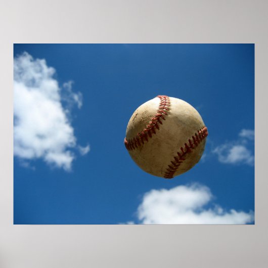 Fly Ball Poster (Voorkant)