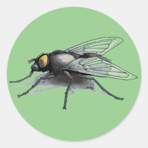 Fly Buddy grijs grote ronde stickers
