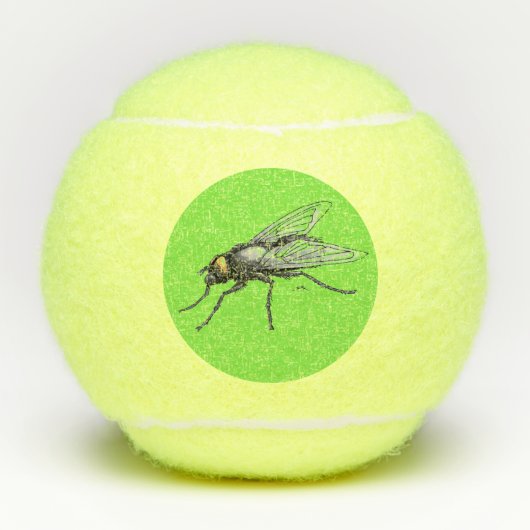 Fly Buddy reus vlieg lime groene Penn tennisballen (Voorkant)