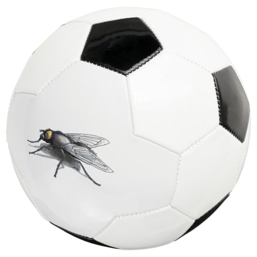 Fly Buddy voetbal (Drie kwart)