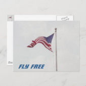 Fly Free USA Drapeau - carte postale (Devant / Derrière)