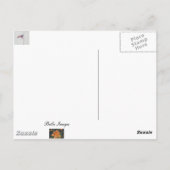 Fly Free USA Drapeau - carte postale (Dos)