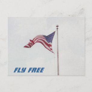 Fly Free USA Drapeau - carte postale
