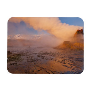 Fly Geyser in de Black Rock Desert Magneet