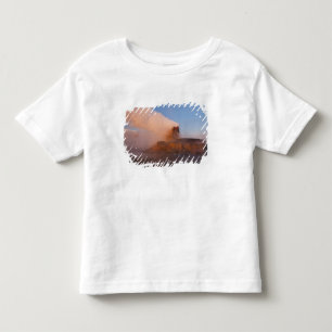 Fly Geyser met besneeuwde Granite Range Kinder Shirts