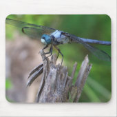 Fly Mouse Muismat (Voorkant)