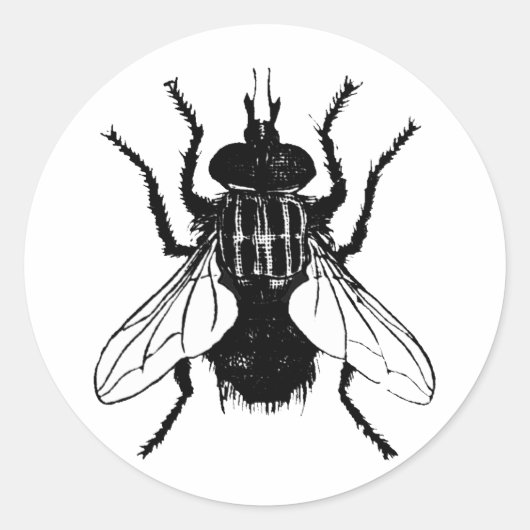 FLY RONDE STICKER (Voorkant)