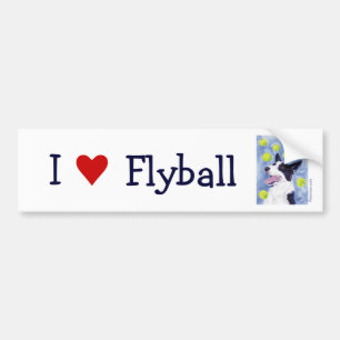 Flyball Border Collie Bumpersticker
