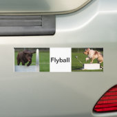 Flyball Bumpersticker (Op auto)