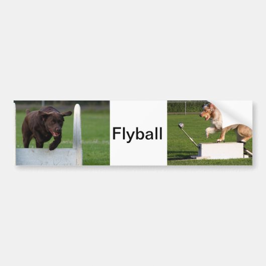 Flyball Bumpersticker (Voorkant)