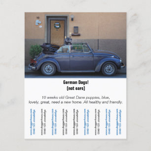 Flyer "Autoverkoper"
