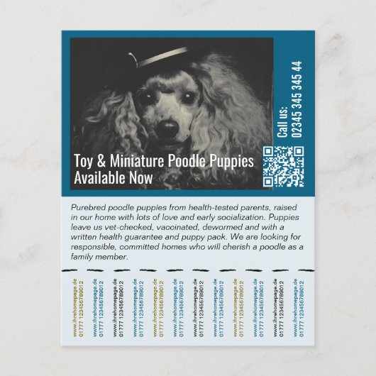 Flyer om Puppies te Verkopen (Voorkant)