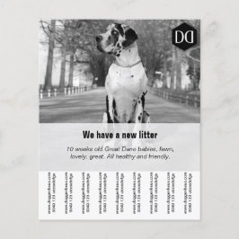 Flyer-verkoper Flyer