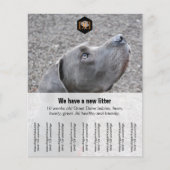 Flyer-verkoper Flyer (Voorkant)