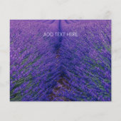 FLYER VOOR BEDRIJF : LAVENDERGEBIED (Achterkant)