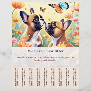 Flyer voor Franse pup te koop
