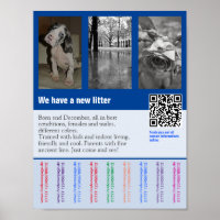 Flyer voor puppyverkoop met QR-code